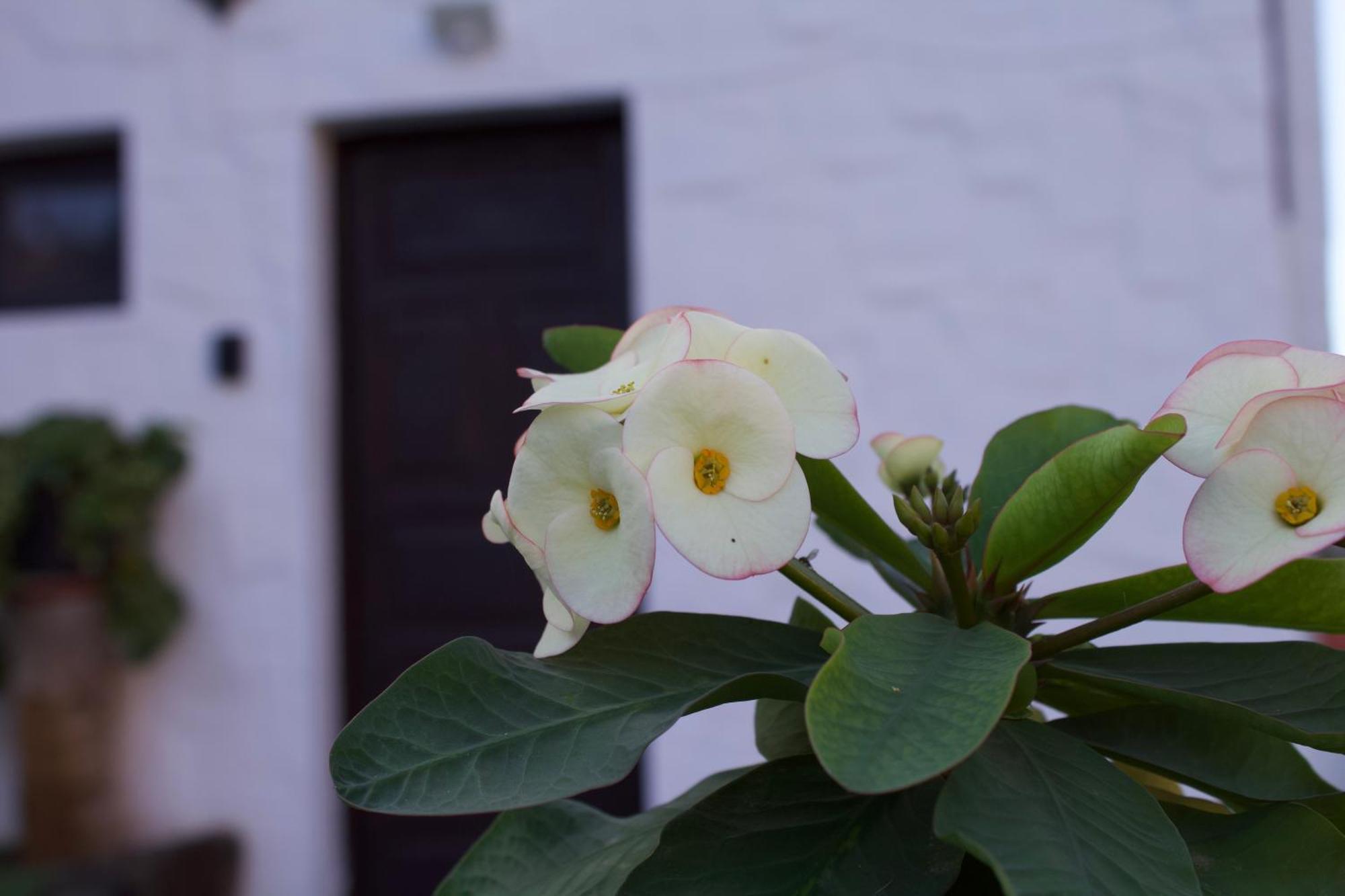 Mogan Natural Dış mekan fotoğraf